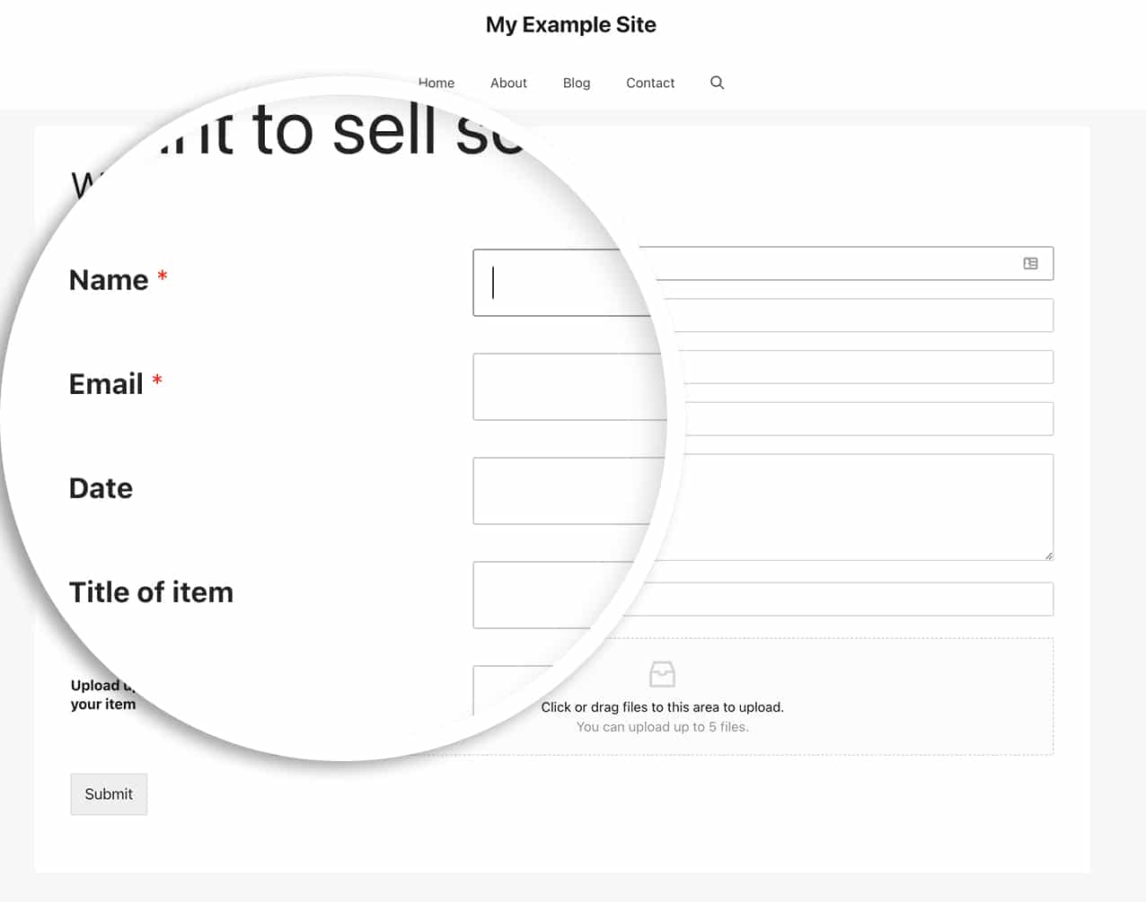 after adding the CSS the labels will now be beside the fields