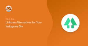 Linktree alternatives for your Instagram