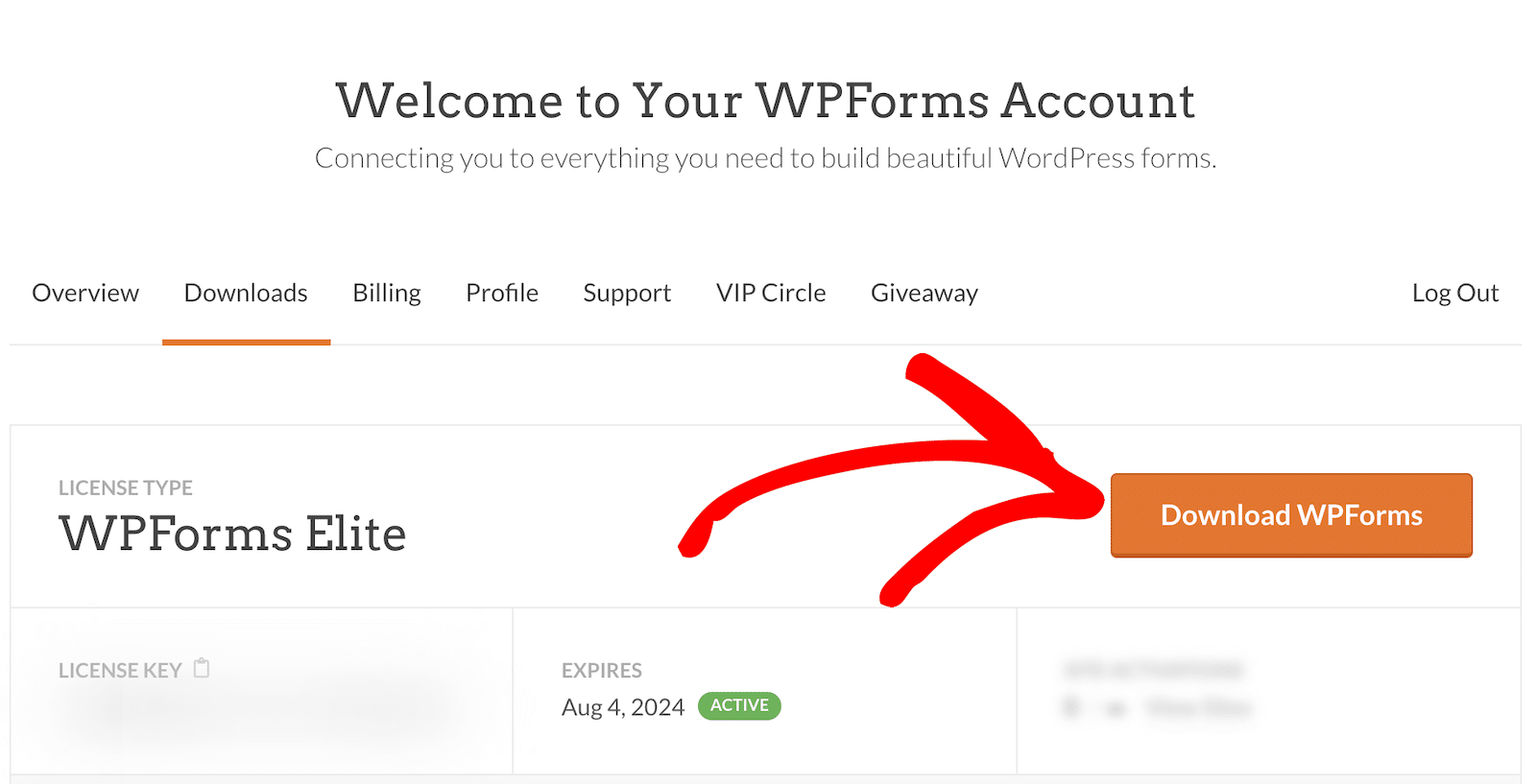 Download WPForms from your account page.