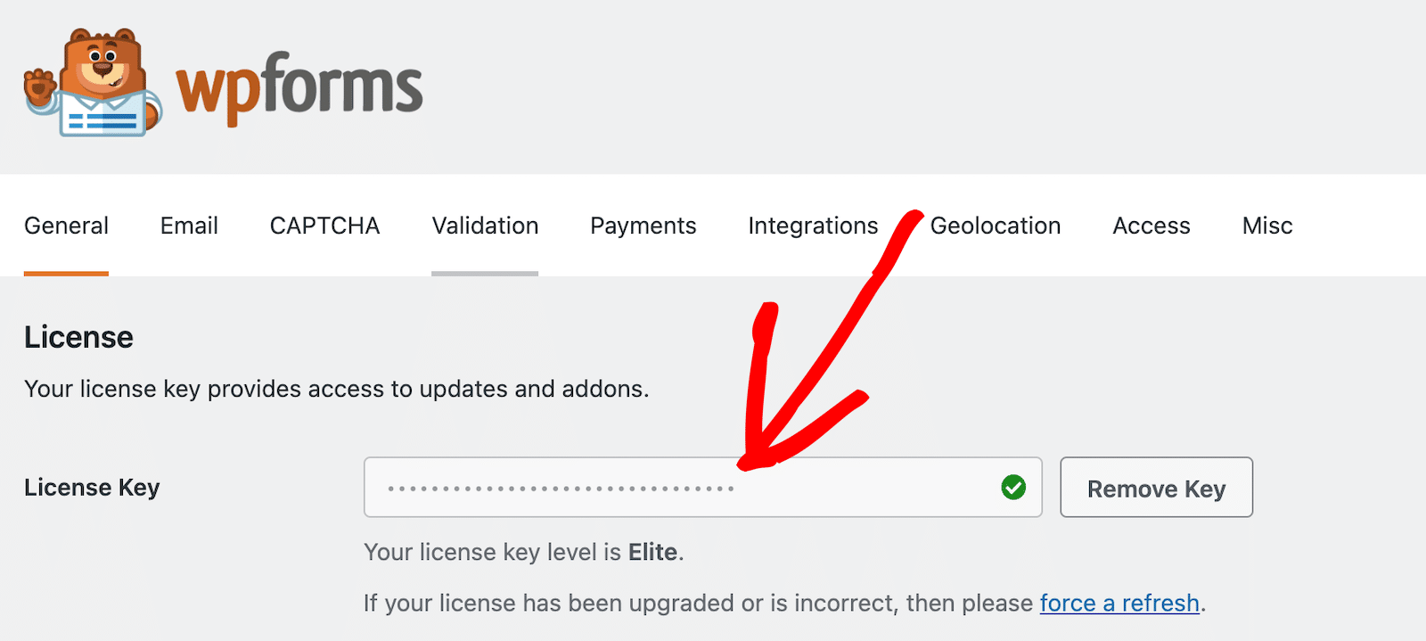 Enter your WPForms license key in the General settings tab.