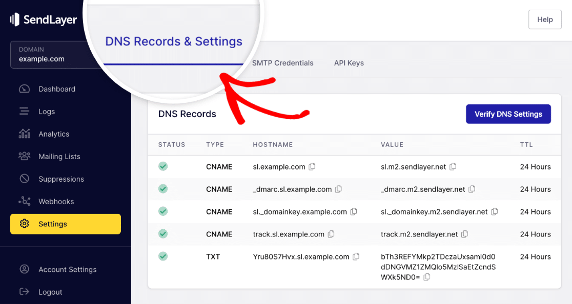 SL DNS records and settings