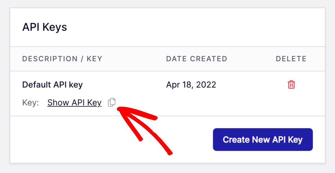 Copy API key