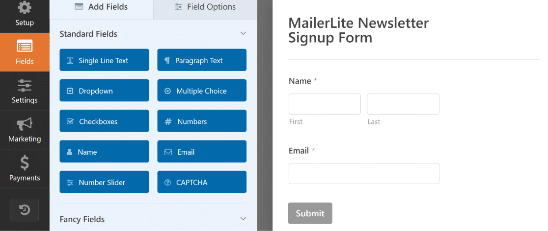 MailerLite newsletter signup form