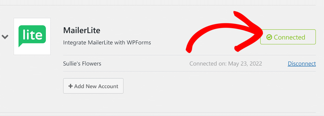 MailerLite connected