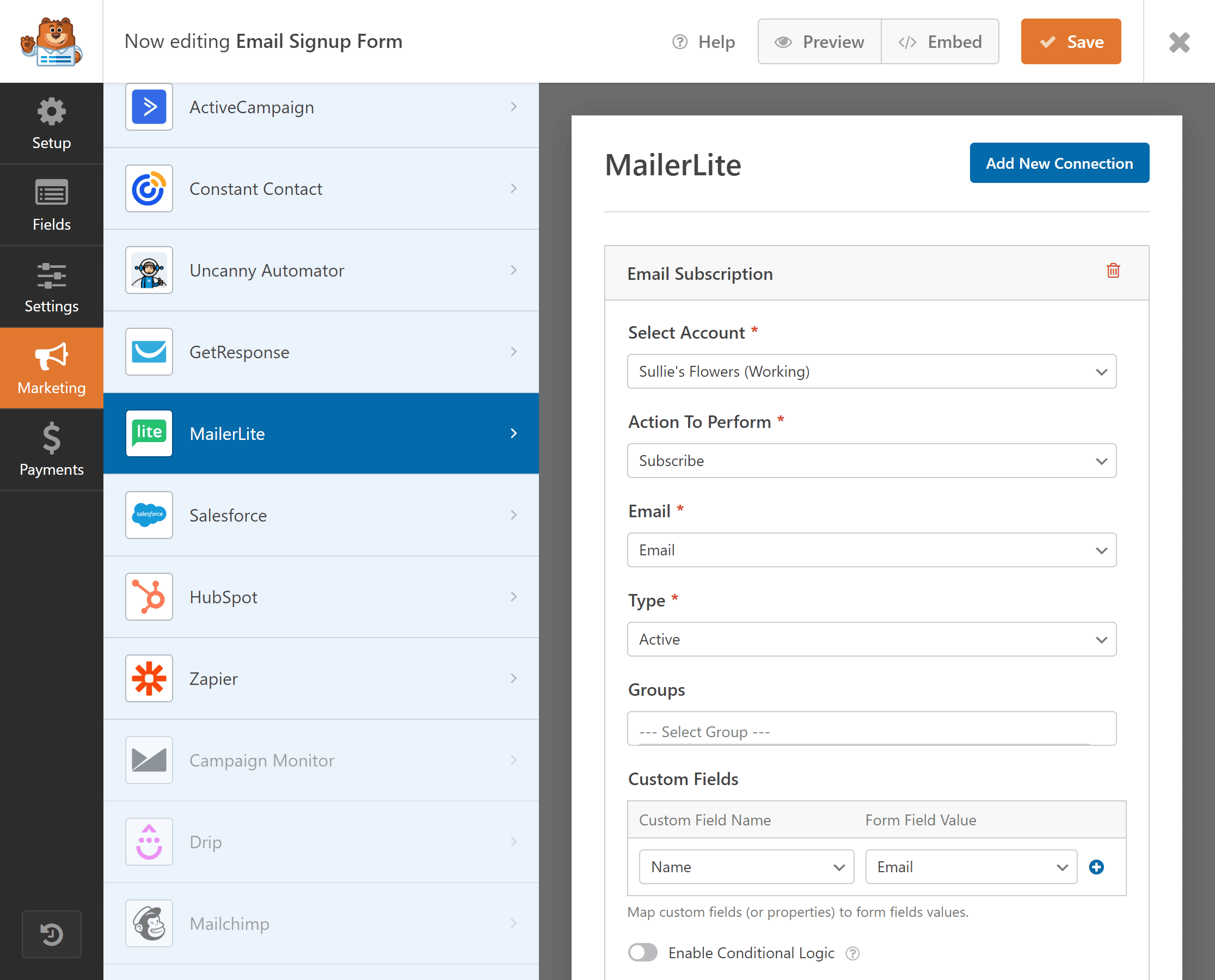 MailerLite form settings