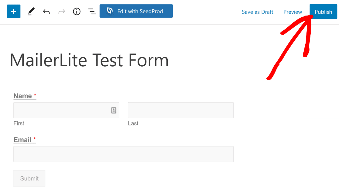 MailerLite test form publish