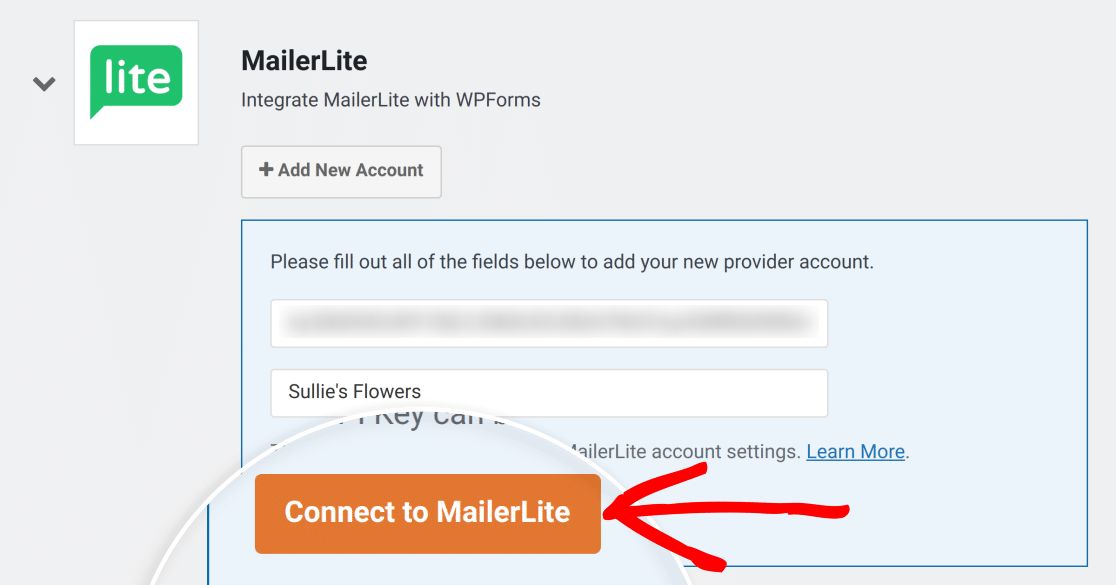 MailerLite connect