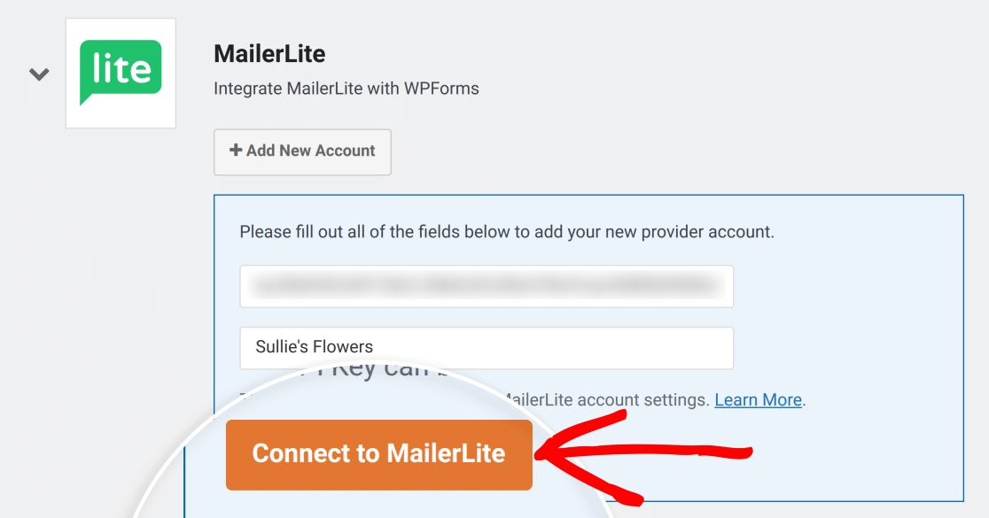 MailerLite connection