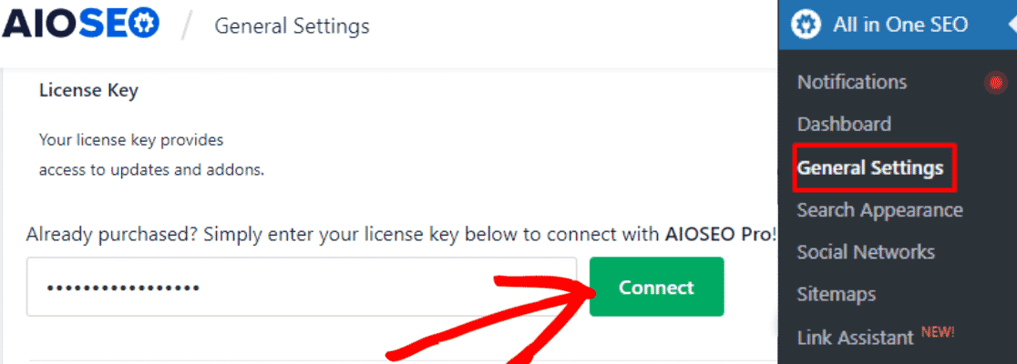 Paste license key AIOSEO