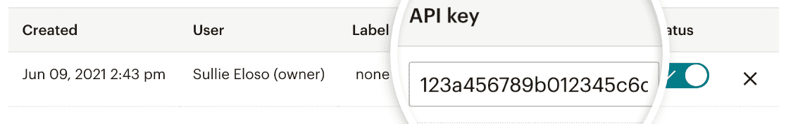 Copying your Mailchimp API key