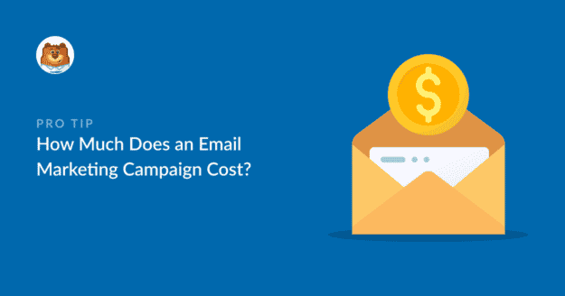 How much does an email marketing campaign cost
