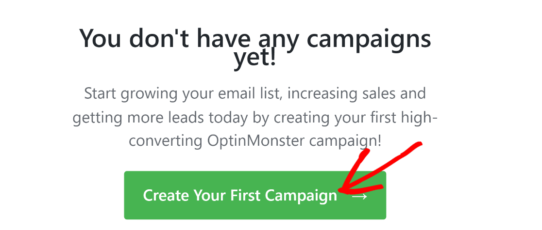 first optinmonster campaign