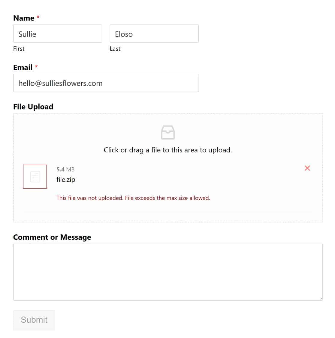 wpforms max file size exceeded