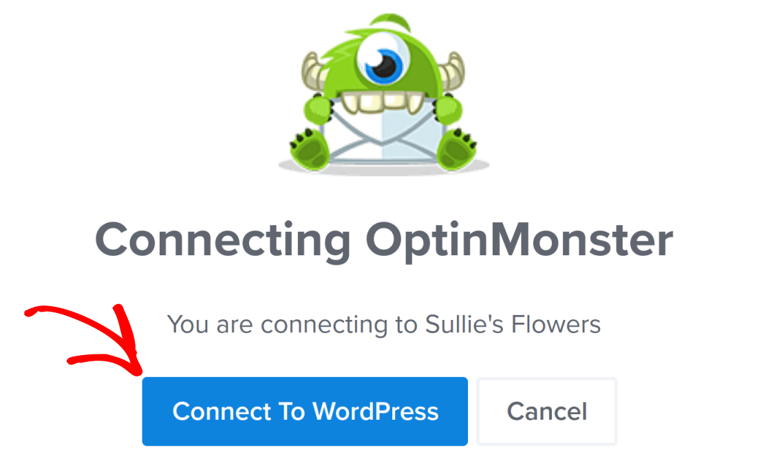 Connect OptinMonster to WordPress