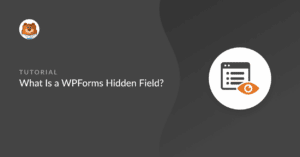 what is a wpforms hidden fielld
