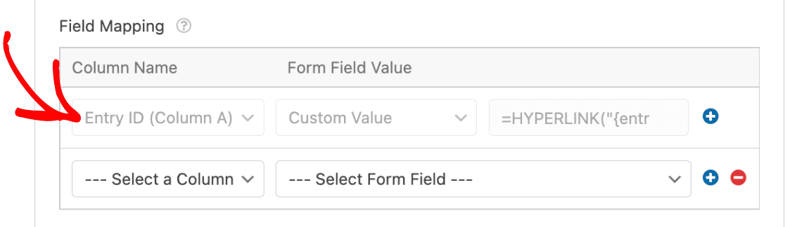 default-entry-id-custom-value