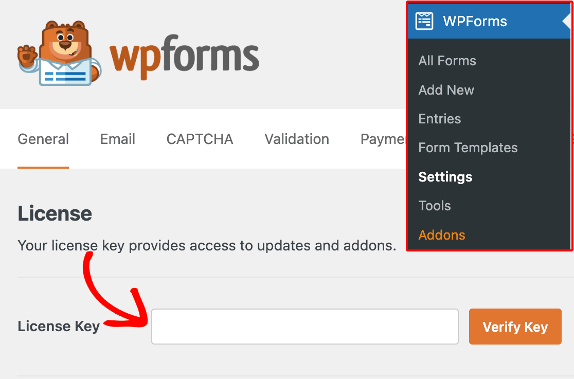 Pasting your license key into the WPForms settings page