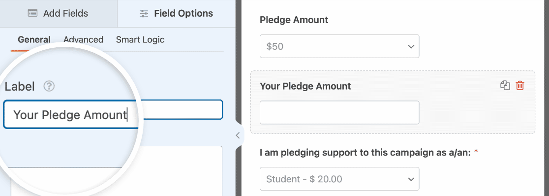 Customizing a Numbers field in a Pledge Form