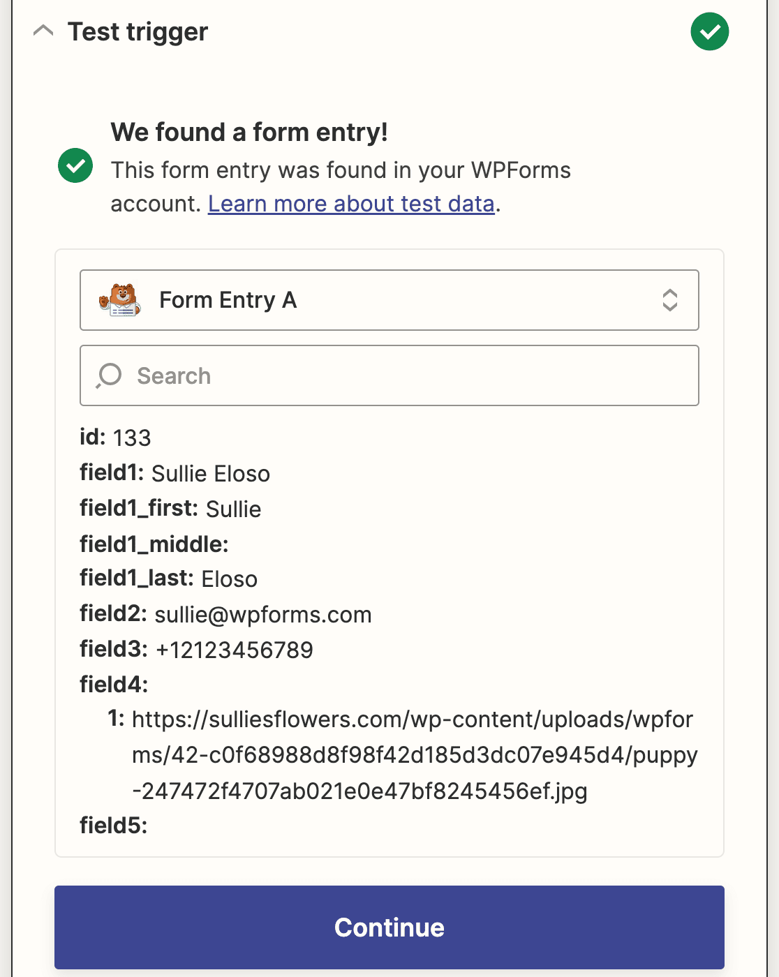 Zapier file upload form test entry