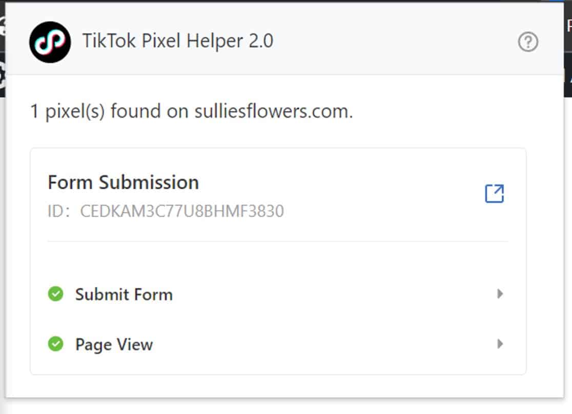 Confirmation of an active TikTok Pixel on the site