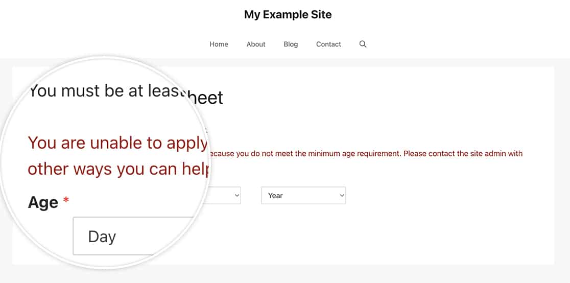 using this snippet you can now customize the age verification message