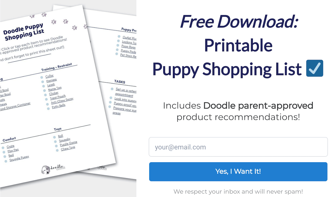 A printable shopping list lead form from Doodle Doods