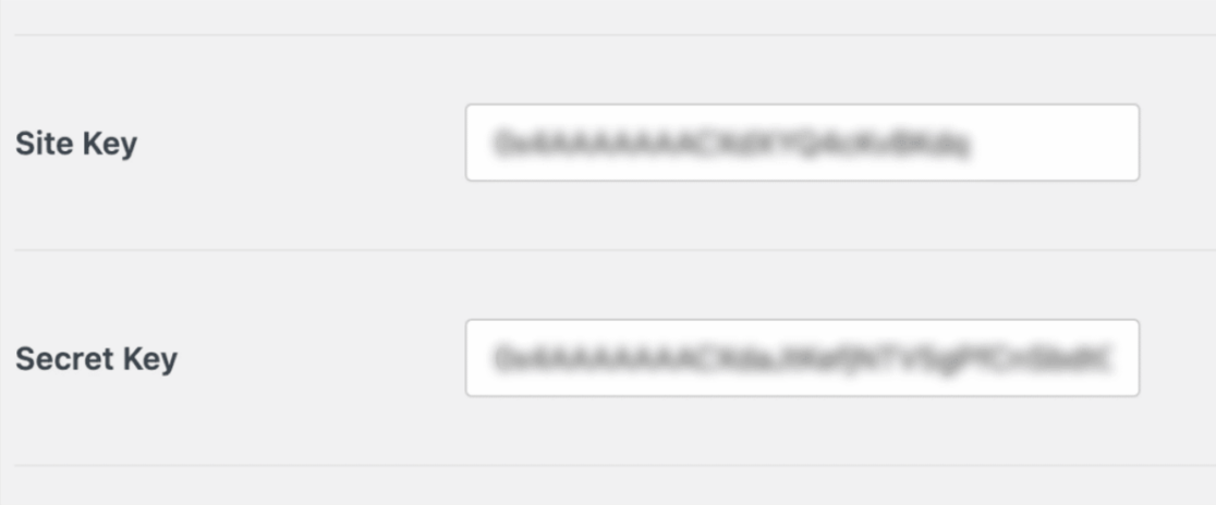 Entering site keys in WPForms settings