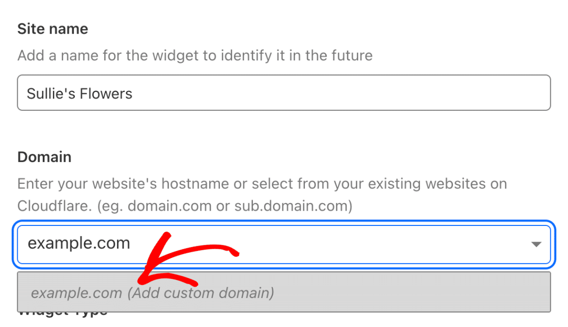Enter website domain