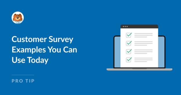Customer Survey Examples