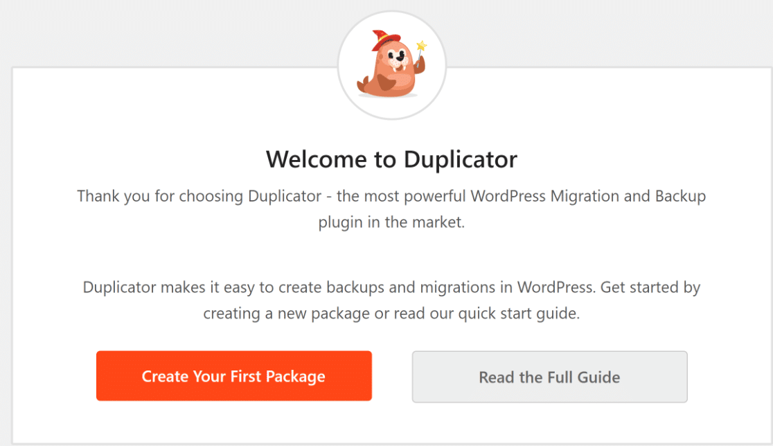 The Duplicator plugin