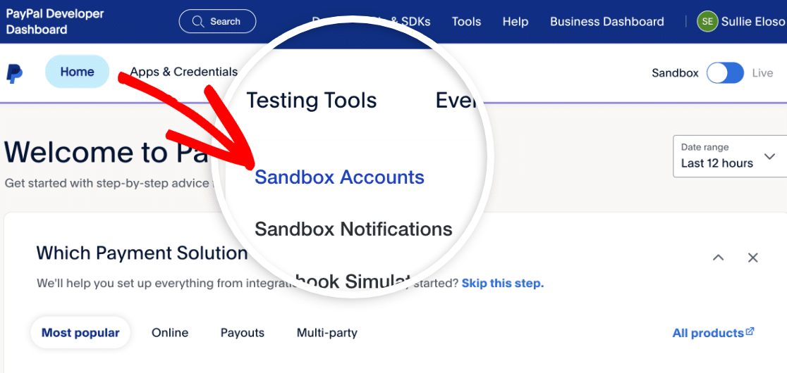 Accessing the Accounts section of a PayPal sandbox account