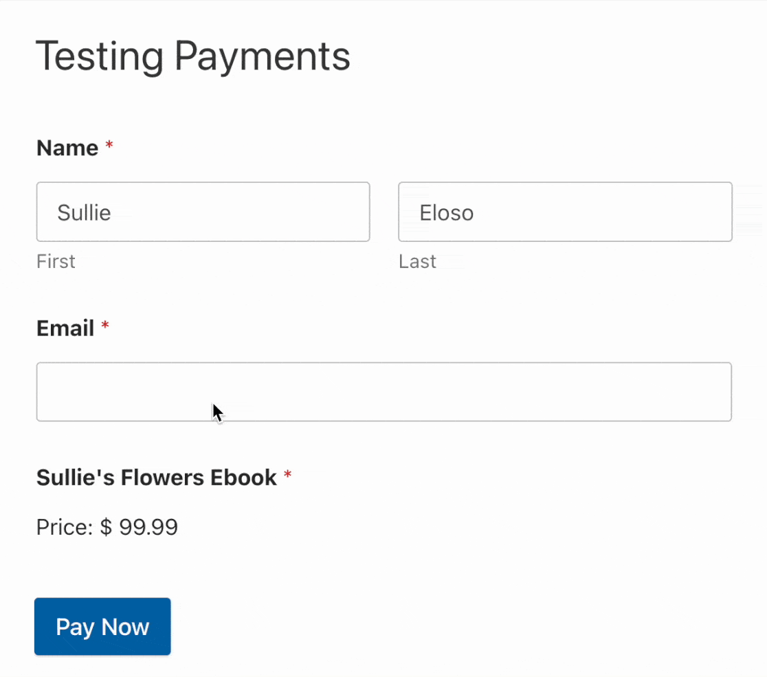 Testing PayPal Standard Payments