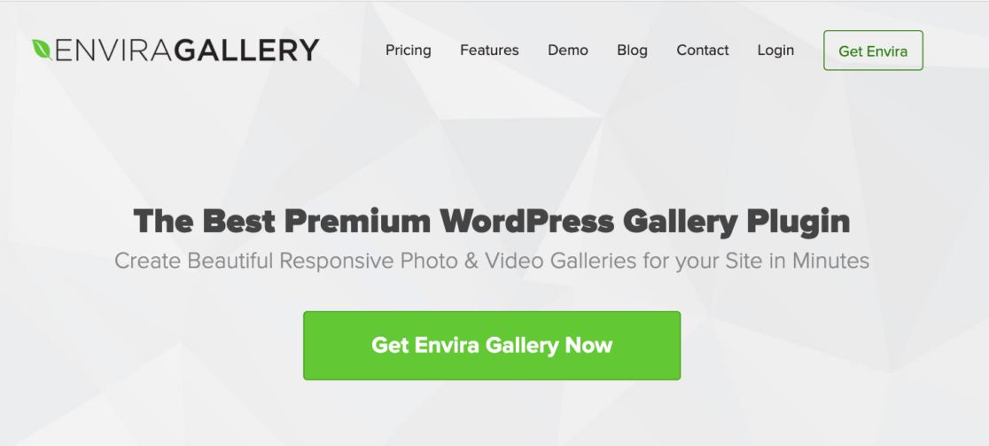 Navigating the Envira Gallery homepage