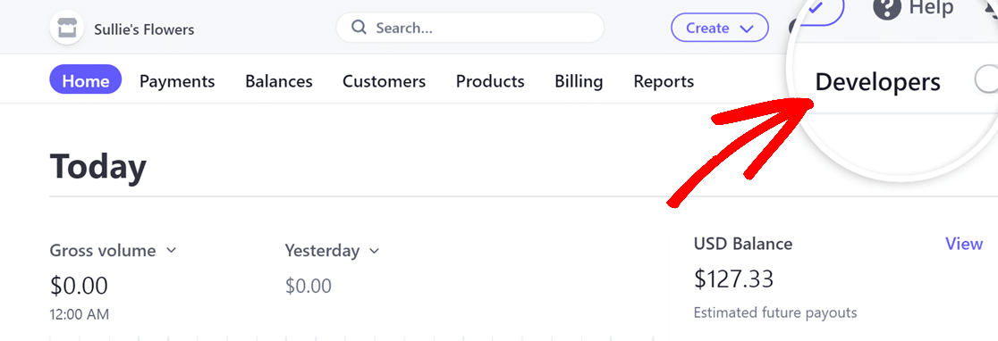 Developers option in Stripe