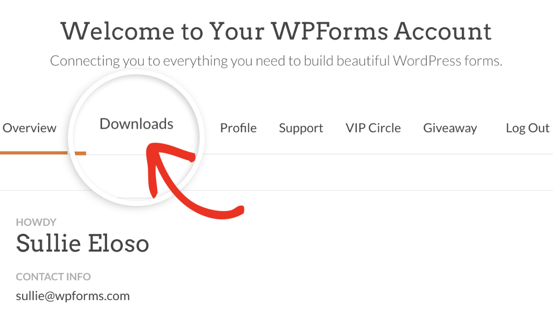 Open Downloads tab of WPForms account