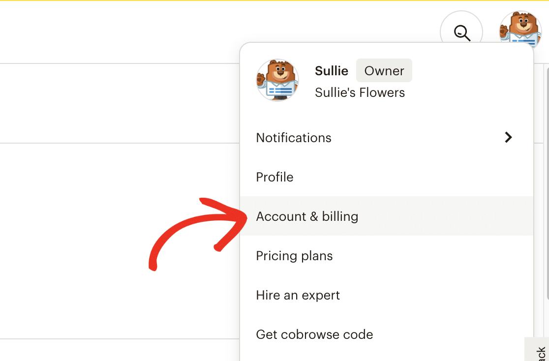 Opening the Account page in Mailchimp