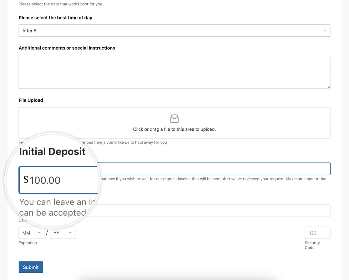 now you can see the currency symbol inside the payment field