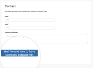 Using CSS to Personalize the Submit Button