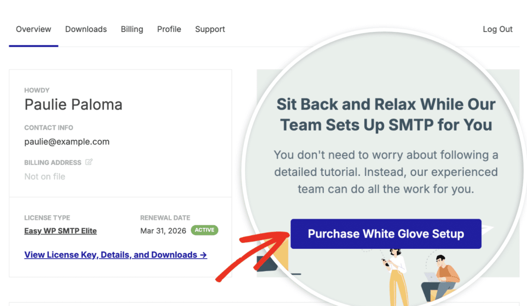 Configuração personalizada do Easy WP SMTP