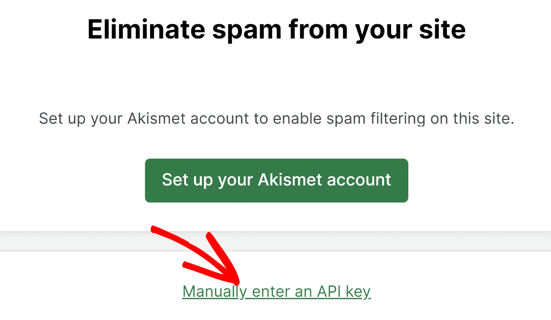 Manually enter API key in Akismet
