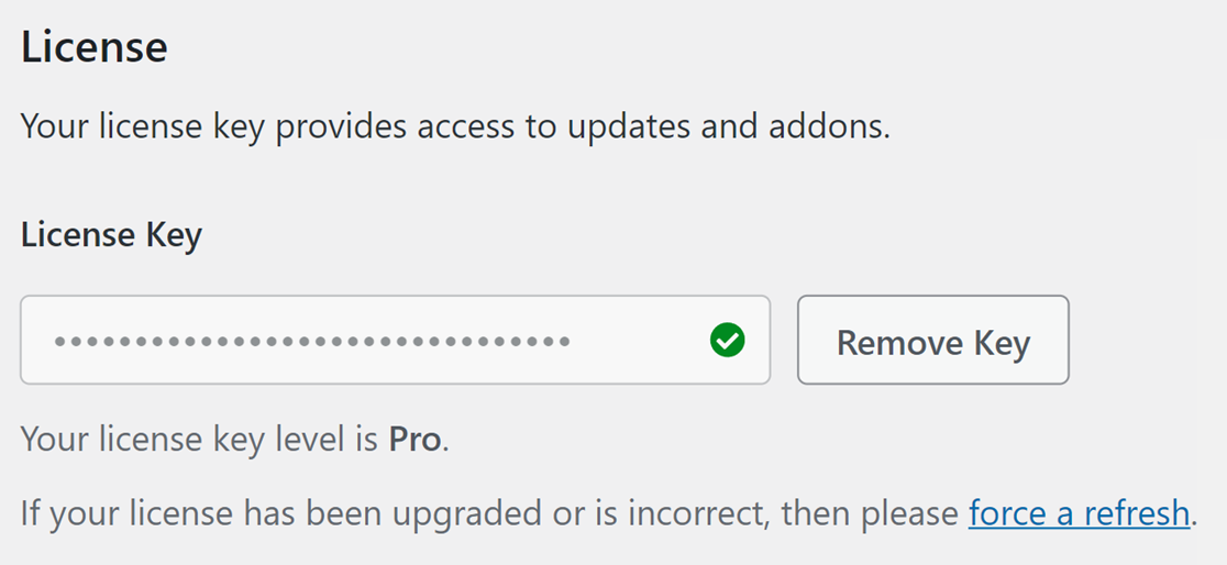 License key setting in WPForms