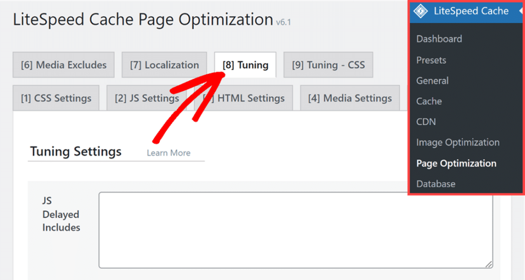 Configuring Optimization Settings for WPForms in LiteSpeed Cache - WPForms
