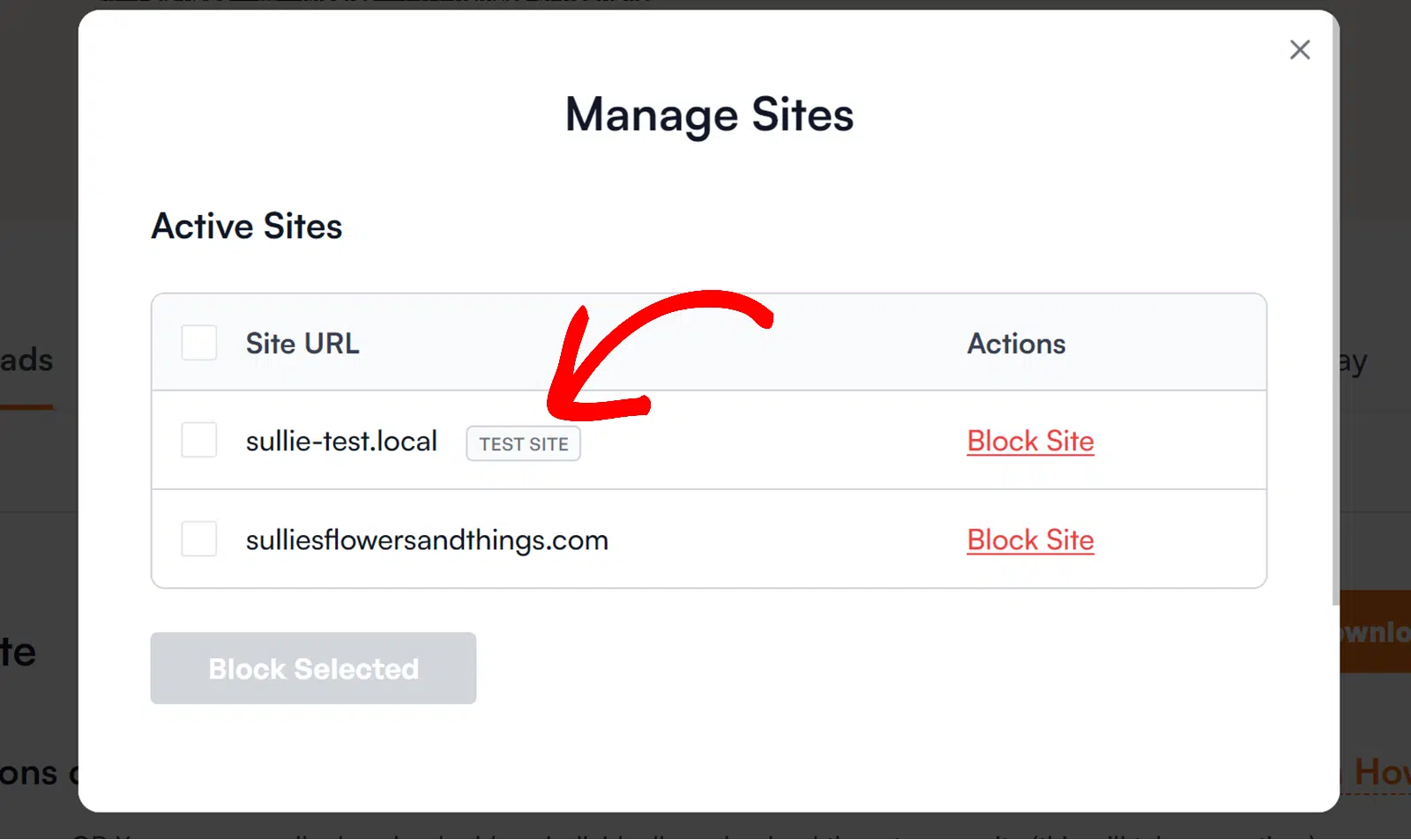 Rótulo do Site de Teste ao Lado de Sites Locais - WPForms Site de Teste