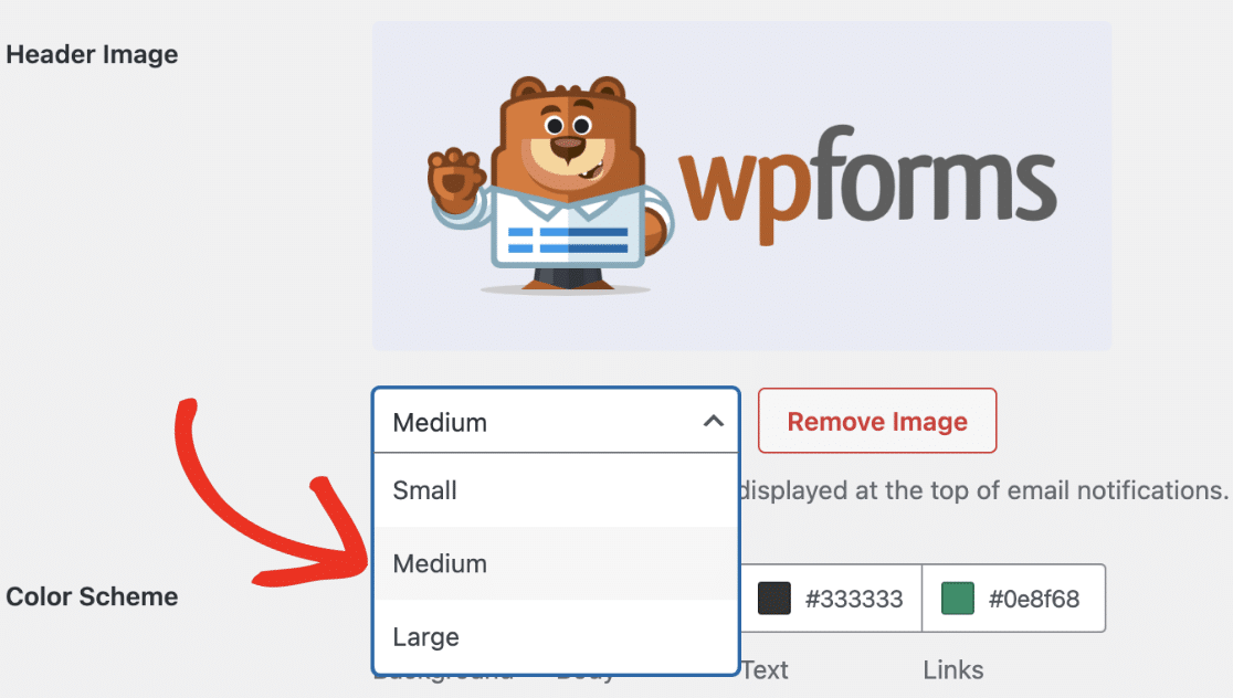 Selecting Image Size from Dropdown
