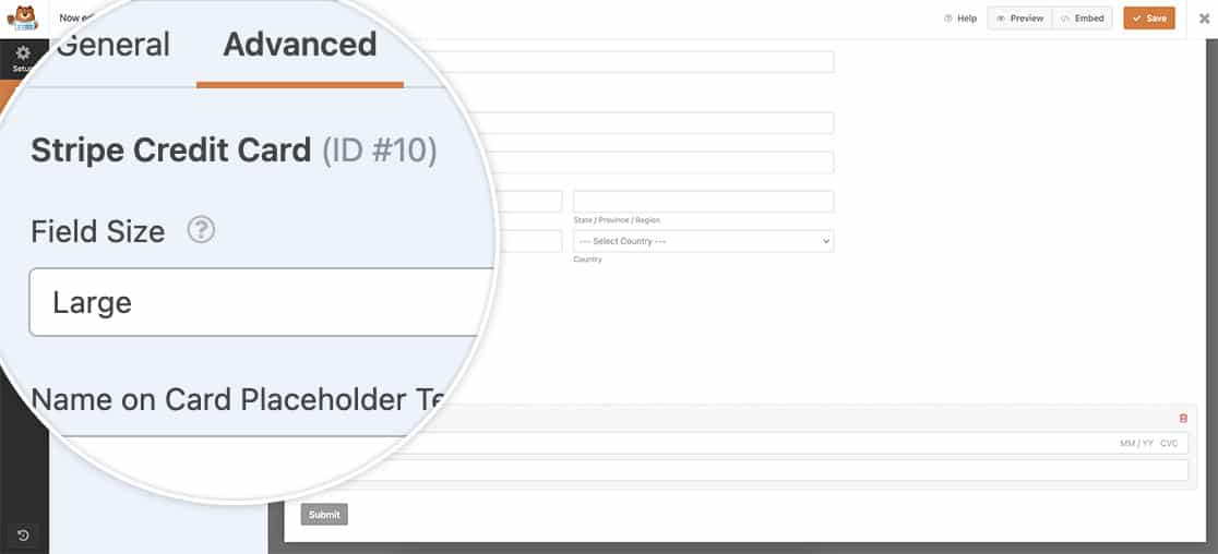 add a Stripe Credit Card field to your form