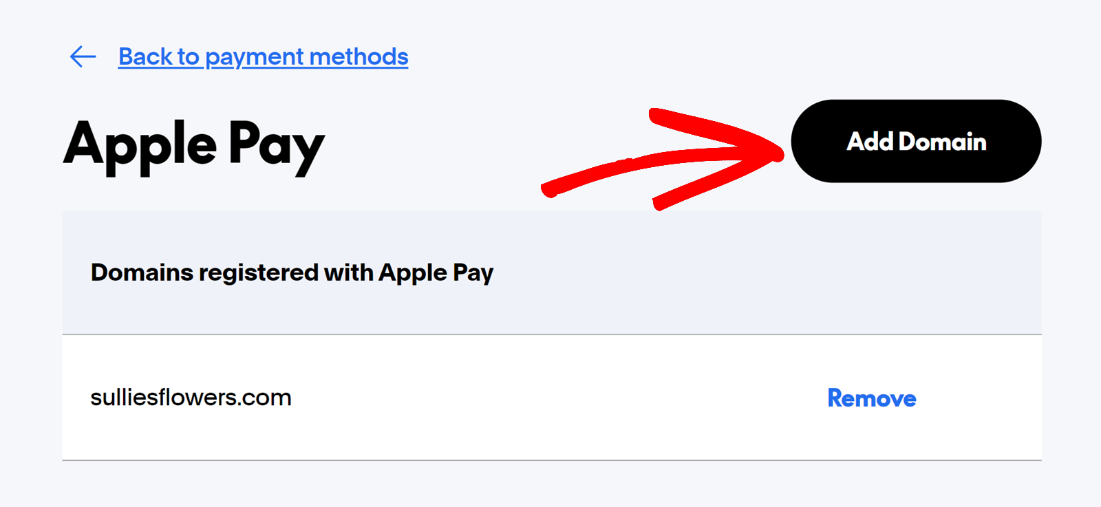 PayPal Commerce Pro Addon