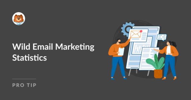 Wild Email Marketing Statistics