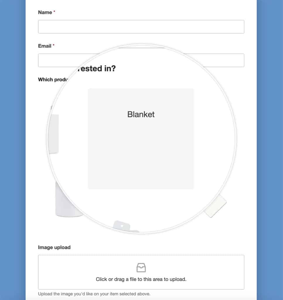 How to Customize the Labels for Image Choices - WPForms Developer Docs