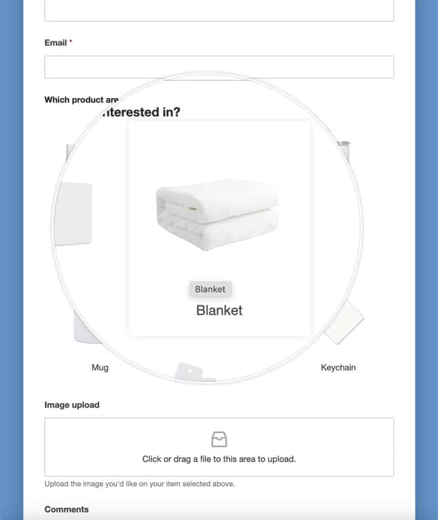 How to Customize the Labels for Image Choices - WPForms Developer Docs