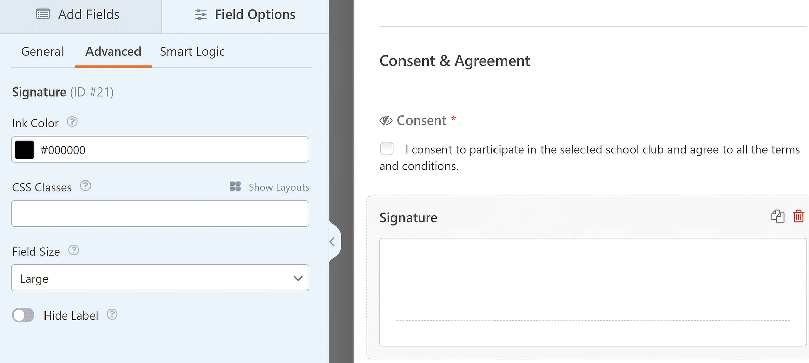 Signature field options